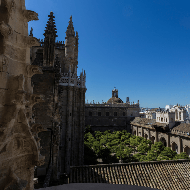 Seville: Fast Track Cathedral Giralda Tower Last minute Tour - Should you book the Seville Cathedral and Giralda tour?