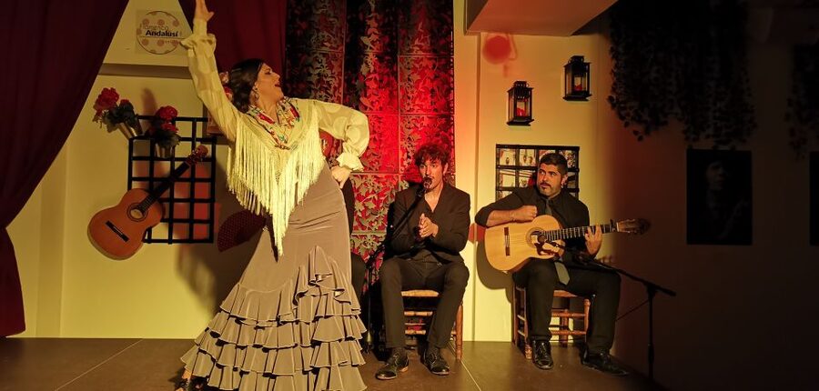 Seville: Flamenco Show at Tablao Flamenco Andalusí - Who should book this show?