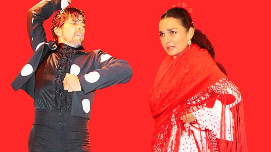Seville: Flamenco Show at Tablao La Cantaora - Why La Cantaora feels different from a large theater show