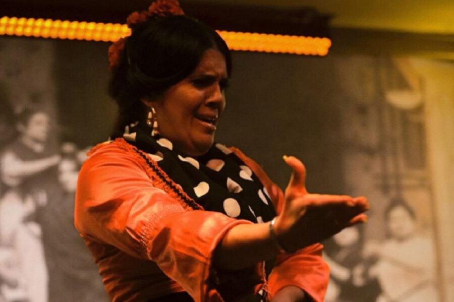 Seville: Flamenco Show at Tablao La Cantaora - The dancers, singers, and guitarists