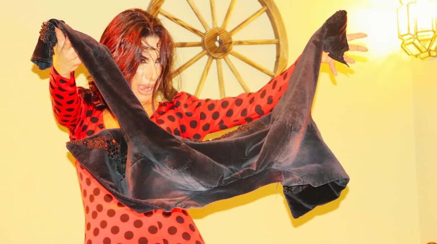Seville: Flamenco Show at Tablao La Cantaora - Choosing between the standard ticket and cocktail option