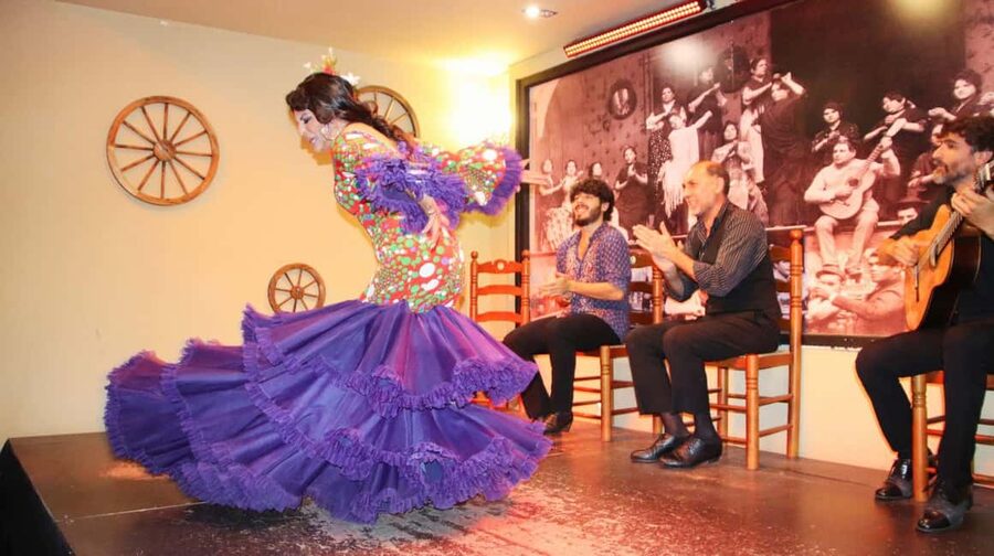 Seville: Flamenco Show at Tablao La Cantaora - Who will enjoy this one-hour flamenco show