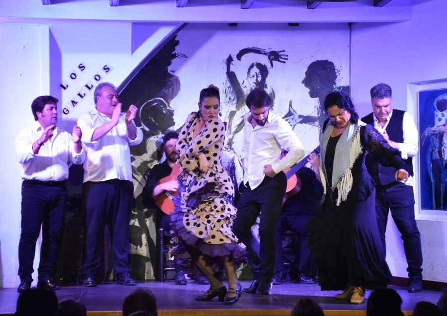 Seville: Flamenco Show at Tablao Los Gallos - Drinks, dinner, and the real cost