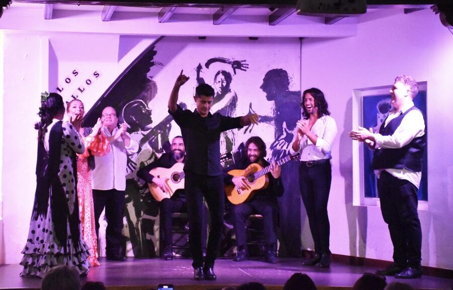 Seville: Flamenco Show at Tablao Los Gallos - Who will enjoy this performance most