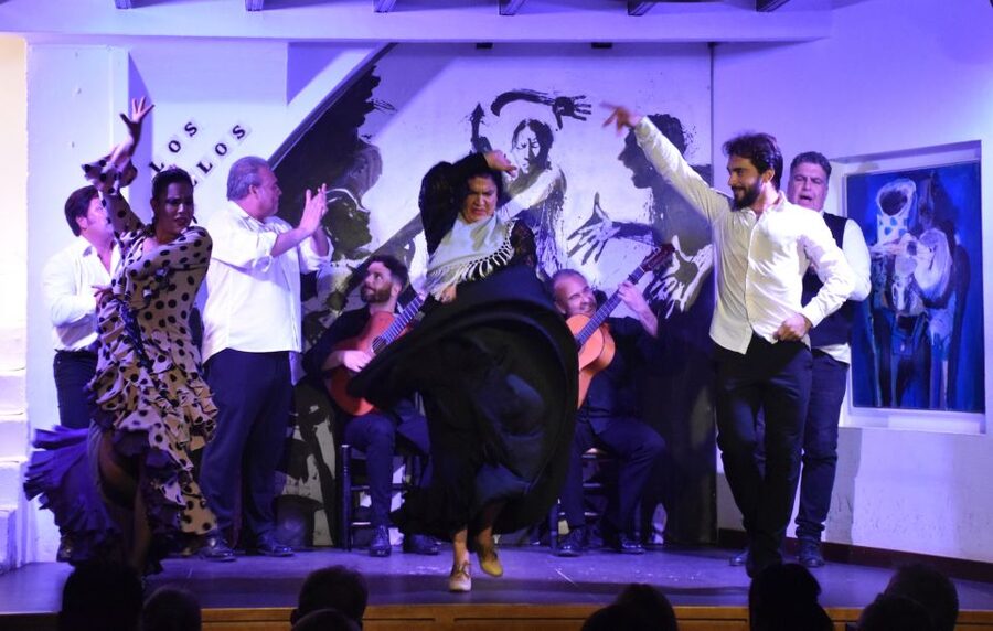 Seville: Flamenco Show at Tablao Los Gallos - A few ways to get more from the evening