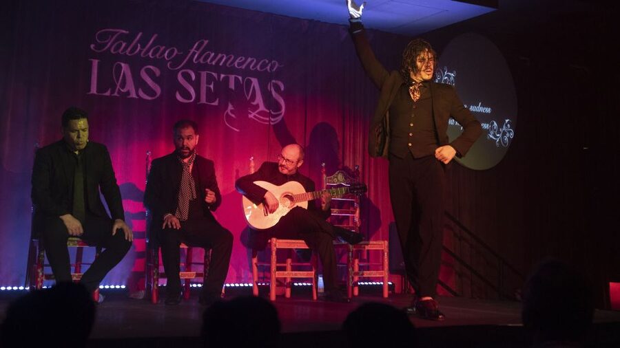 Seville: Flamenco Show & Roof Dinner with Cathedral Views - Key points to know before booking