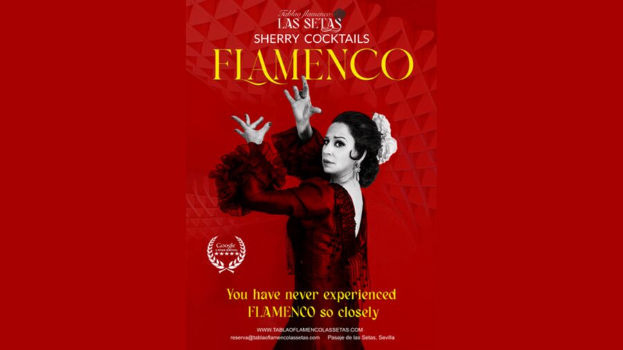 Seville: Flamenco Show Ticket at Tablao Flamenco Las Setas - What happens during the one-hour show