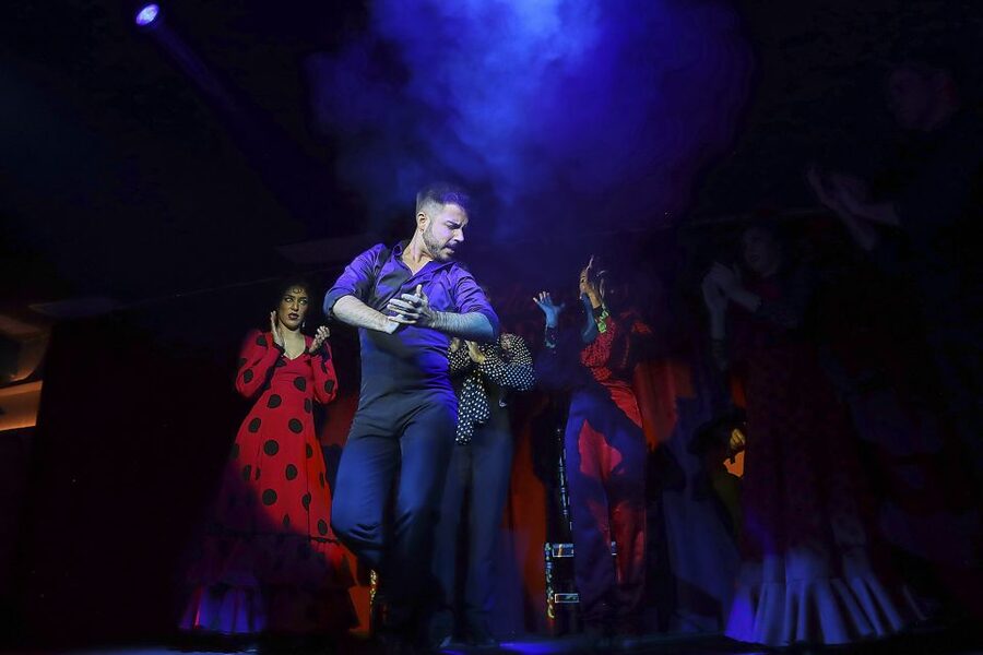 Seville: Flamenco Show Ticket at Tablao Flamenco Las Setas - Choosing between standard, Premium, and VIP tickets