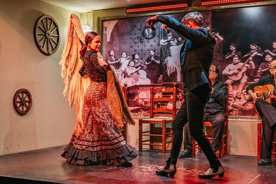 Seville: Flamenco Show with Andalusian Dinner at La Cantaora - Key points to know before booking
