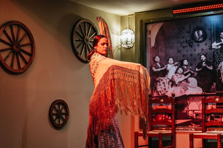 Seville: Flamenco Show with Andalusian Dinner at La Cantaora - Why the performance earns the strongest praise