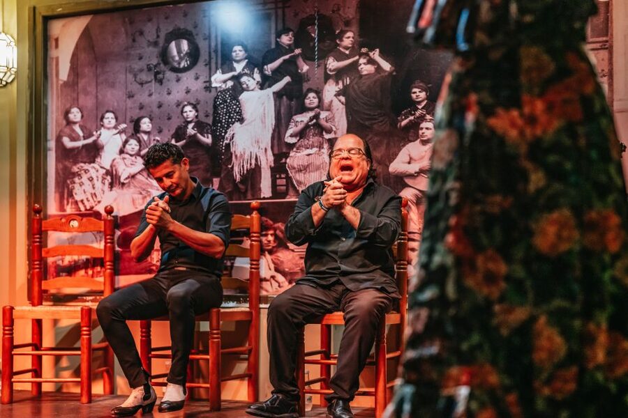 Seville: Flamenco Show with Andalusian Dinner at La Cantaora - Timing, access, and useful planning notes