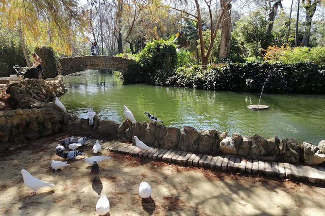Seville Full Day Tour - Seville Cathedral and the Giralda