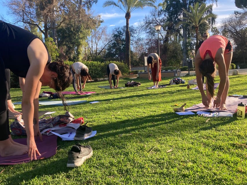 Seville: Group Yoga classes All levels - in French - Why the French instruction matters in Seville
