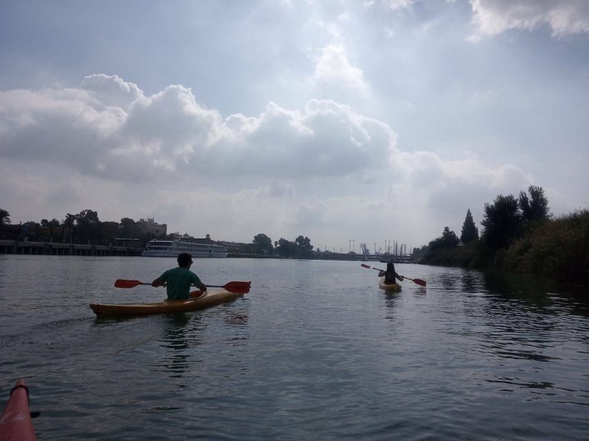 Seville: Guadalquivir River Kayaking Trip - Turtles, rowing boats, and the quieter side of Seville