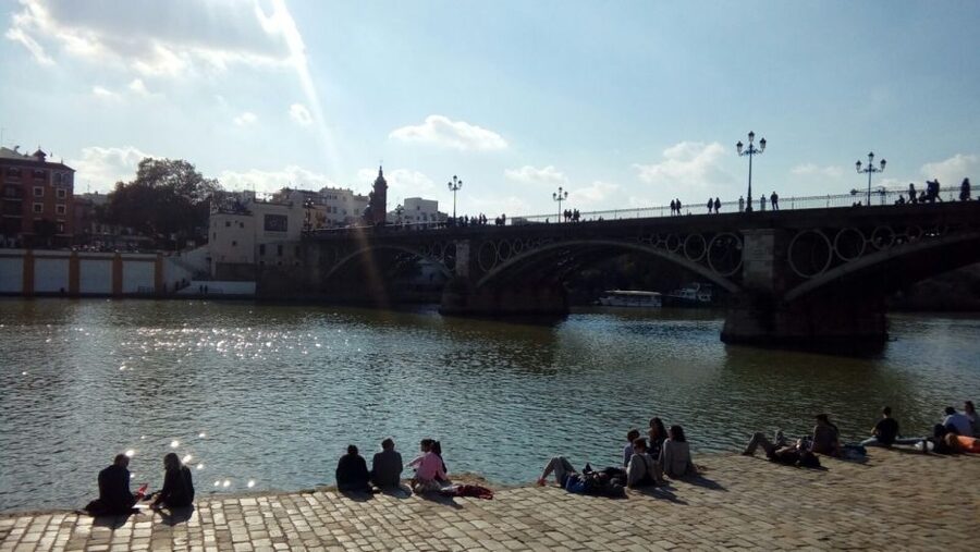 Seville: Guided Sightseeing Day Tour - The Guadalquivir and Torre del Oro