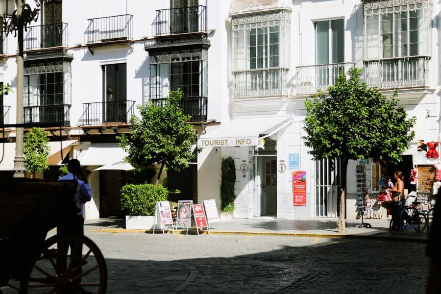 Seville: Guided Tour of Cathedral of Seville & Giralda Tower - Who will enjoy this visit most?