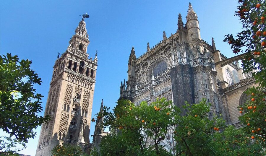 Seville: Guided Tour with Cathedral & Giralda Entrance - Meeting at Avenida de la Constitucion 23B
