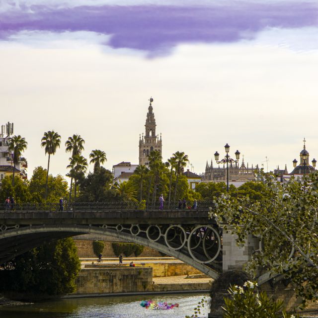 Seville: Guided Walking Tour with Optional Breakfast - Who should book this Seville walk?