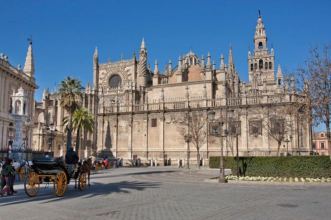 Seville Half-Day Walking Tour - A broad introduction to Seville on foot