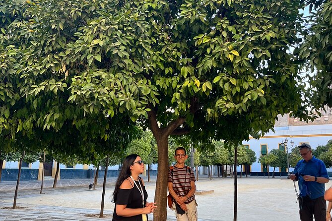 Seville Highlights Private Walking Tour - Starting at Plaza Virgen de los Reyes