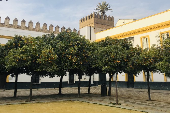 Seville Highlights Private Walking Tour - Private attention and guide quality