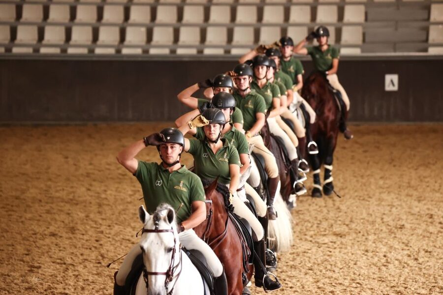 Seville: Horse's Show Entry Ticket. Optional Stud Farm Visit - Should you book Yeguada Torreluna?