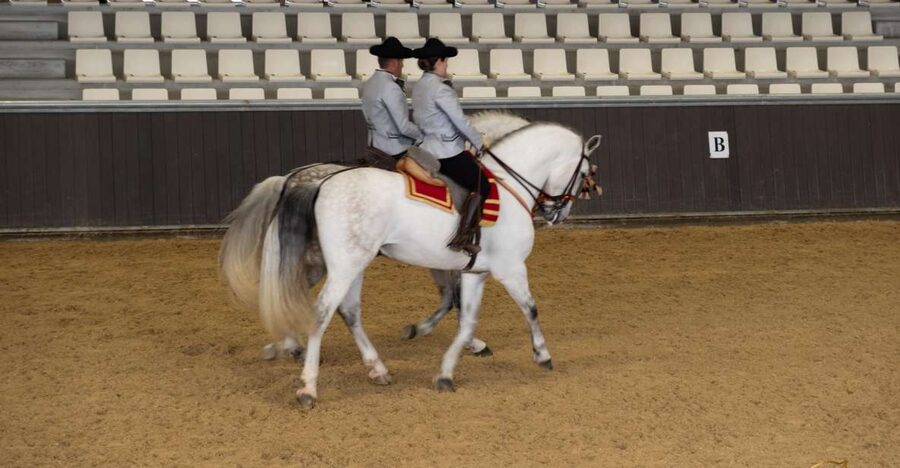 Seville: Horse's Show Entry Ticket. Optional Stud Farm Visit - The seven stops in The Story of a Champion