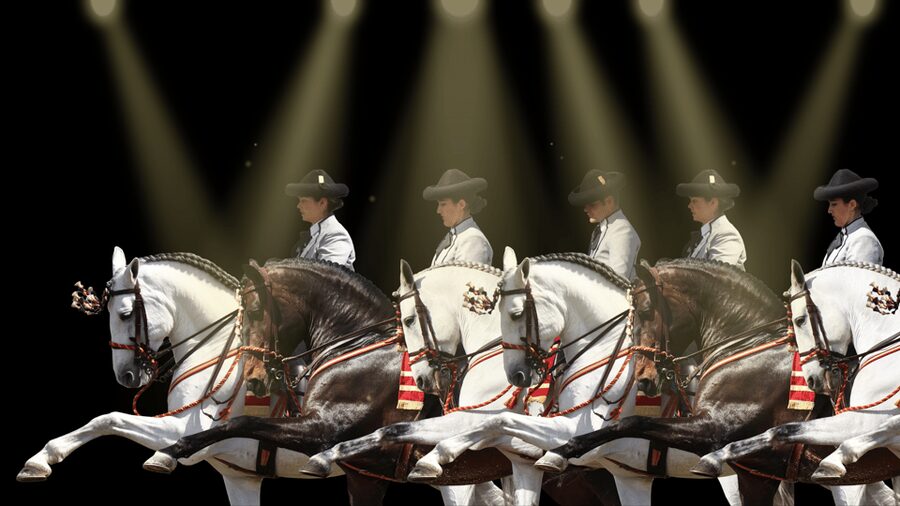 Seville: Horse's Show Entry Ticket. Optional Stud Farm Visit - Who will enjoy this most