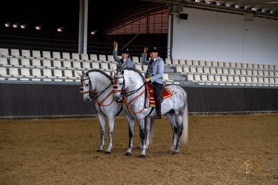 Seville: Horse's Show Entry Ticket. Optional Stud Farm Visit - My take on the value