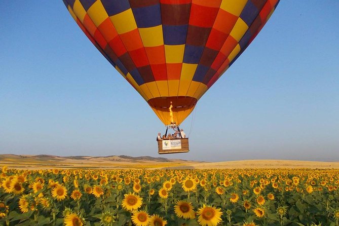 Seville Hot-Air Balloon Ride with Breakfast, Cava & Hotel Pick up - Key points to know before booking