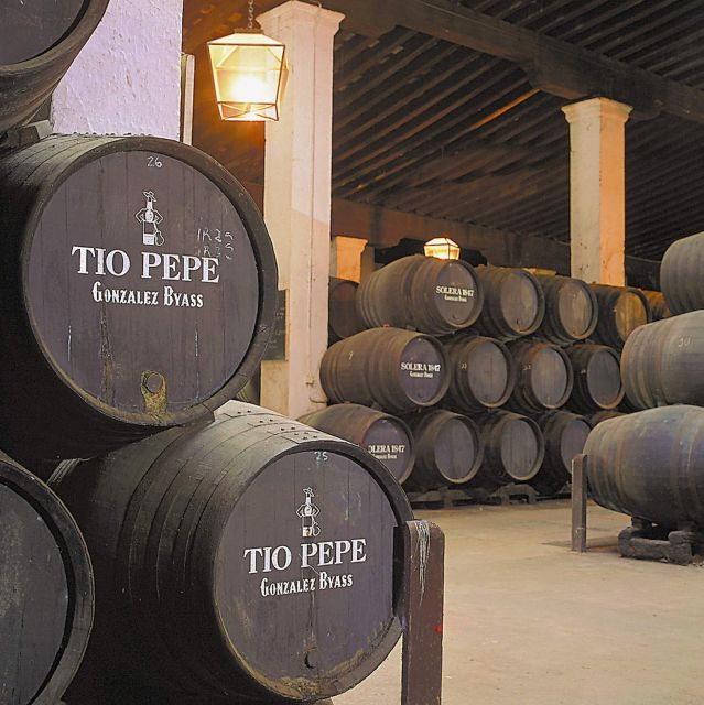 Seville: Jerez, Cadiz Wine Tasting with Optional Horse Show - Why this day trip works