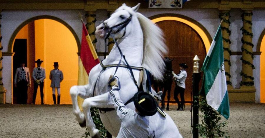 Seville: Jerez, Cadiz Wine Tasting with Optional Horse Show - Leaving Seville for Jerez