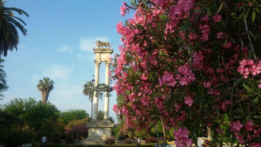 Seville Jewish Heritage Tour - What the $258 private-group price means