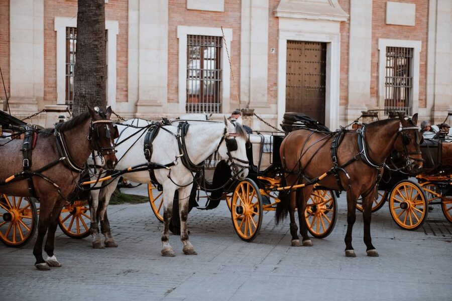 Seville Jewish Quarter walking tour: Santa Cruz District - Casa Murillo and the city’s artistic side