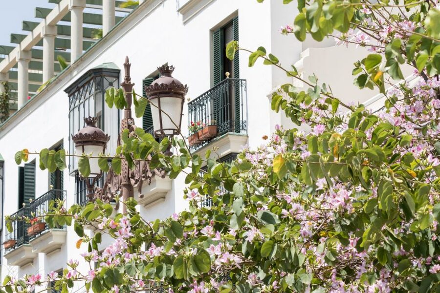 Seville Jewish Quarter walking tour: Santa Cruz District - Rosina’s Balcony and opera in the streets