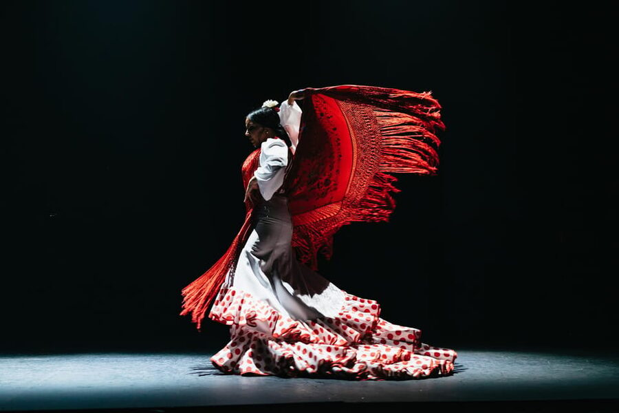 Seville: Live Flamenco Dancing Show Ticket at the Theater - Key points to know before booking