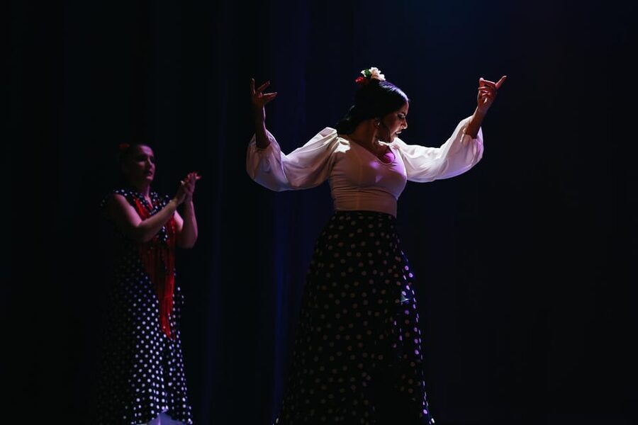 Seville: Live Flamenco Dancing Show Ticket at the Theater - Who should book this show