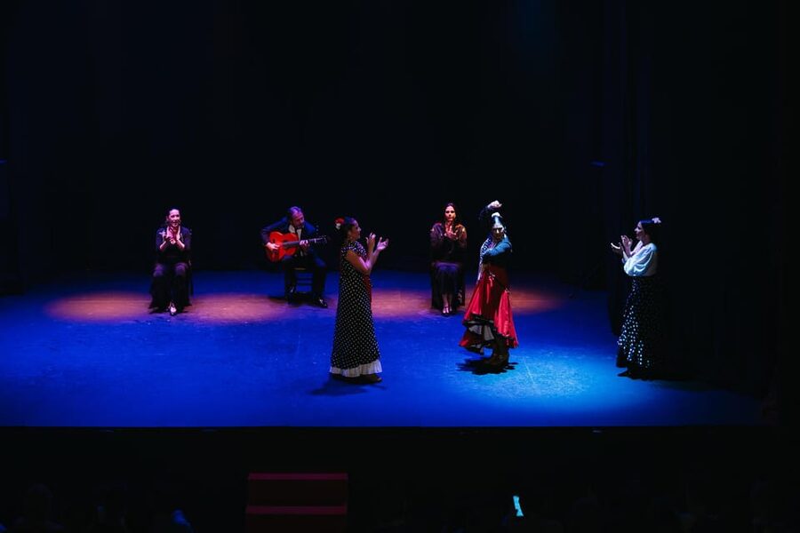 Seville: Live Flamenco Dancing Show Ticket at the Theater - Booking and timing advice for Seville