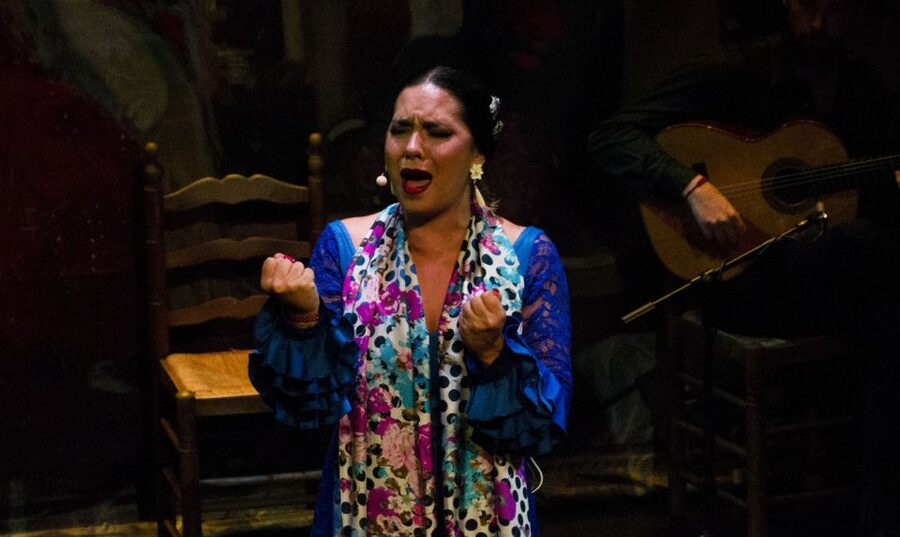 Seville: Live Flamenco Show at "Teatro Flamenco Triana" - Authentic feeling without the dinner-show setup