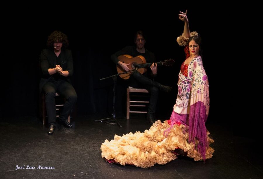 Seville: Live Flamenco Show at "Teatro Flamenco Triana" - Access and useful planning details