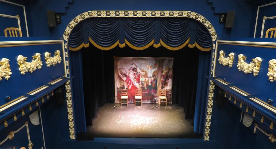 Seville: Live Flamenco Show at "Teatro Flamenco Triana" - A one-hour program with no filler