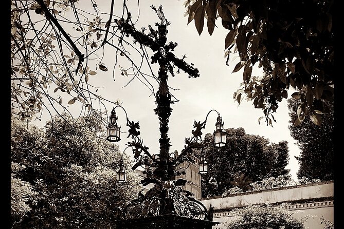 "Seville: Love At First Sight" Private Tour - What Sofía Ventura adds to the experience