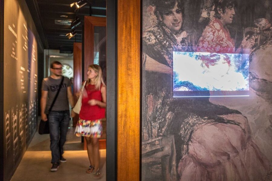 Seville: Museum of Flamenco Dance Admission Ticket - A compact introduction to flamenco in central Seville