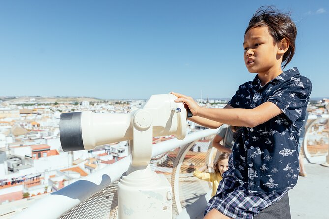 Seville Must-Do Family Friendly Private Tour - Why this two-hour Seville tour works for families