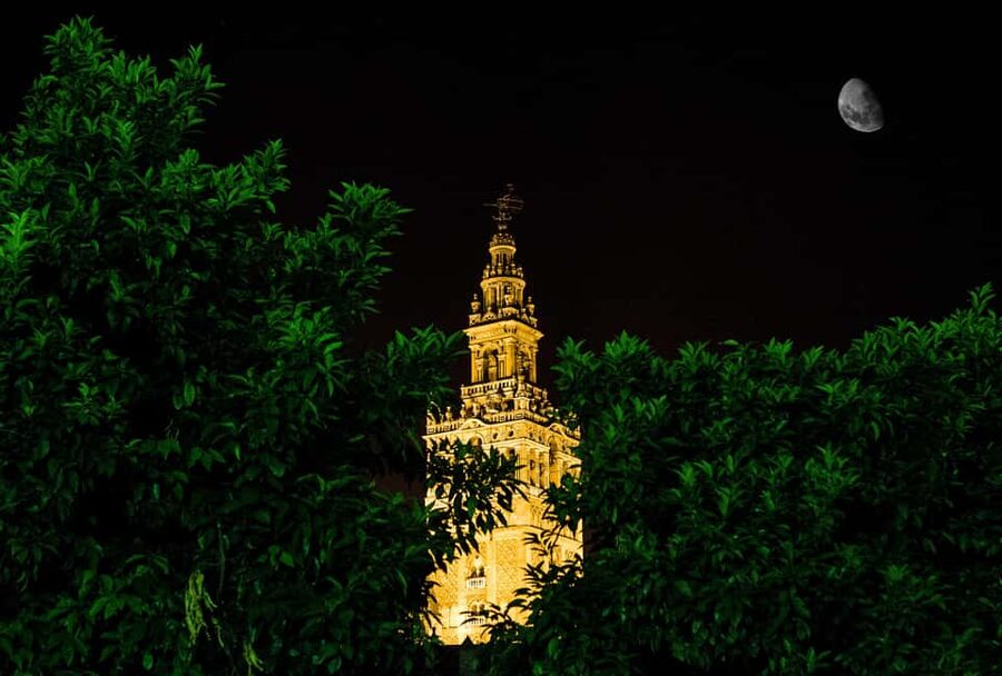 Seville Night Tour A Must See - Patio de Banderas and the Alcázar Exterior