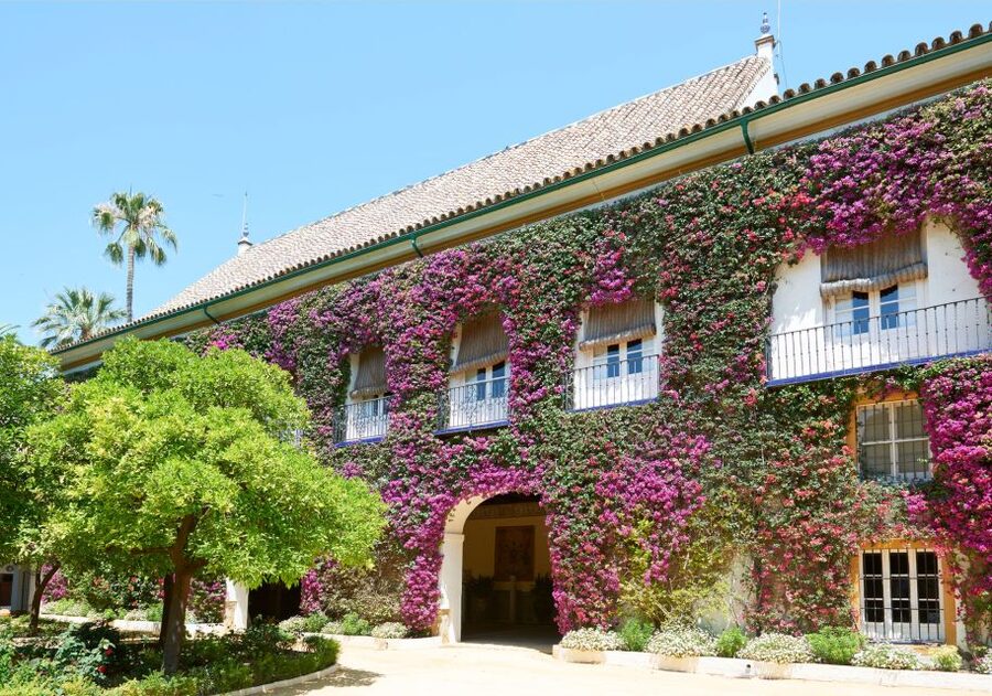 Seville: Palacio de Las Dueñas Entry Ticket and Guided Tour - Practical details that affect the visit
