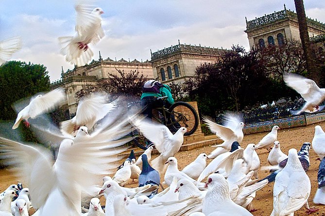 Seville Panoramic Walking Tour - Starting at City Hall and Plaza de San Francisco