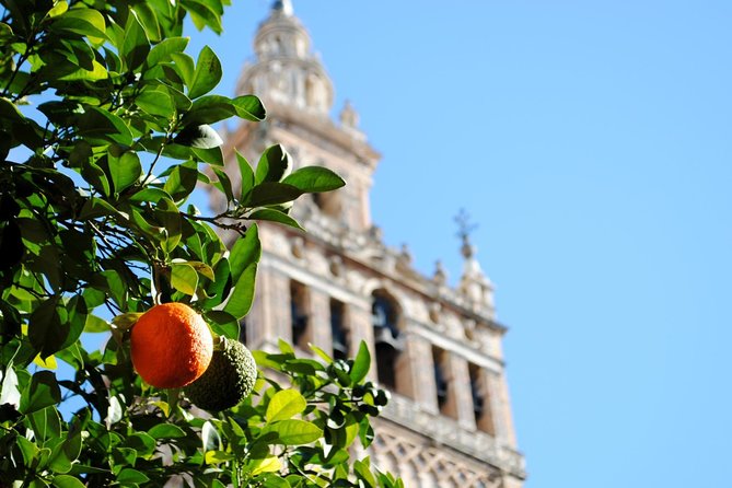 Seville Panoramic Walking Tour - Crossing Puente de Triana
