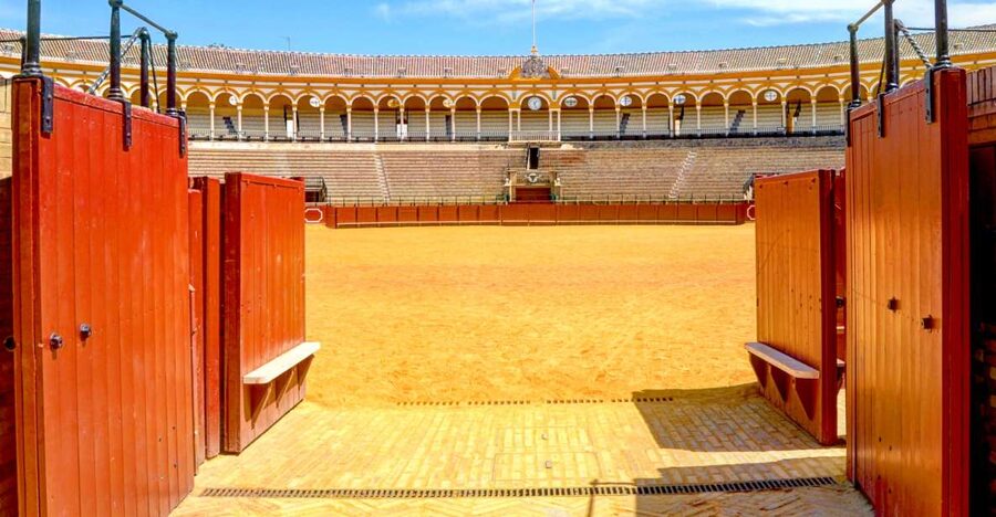 Seville: Plaza de Toros and Museum Guided Tour in Spanish - Why Seville’s bullring is worth an hour