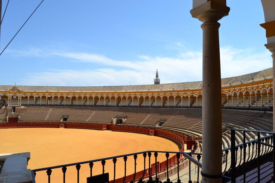 Seville: Plaza de Toros and Museum Guided Tour in Spanish - Is $33 a fair price?